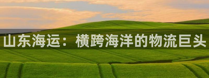 去公海赌博