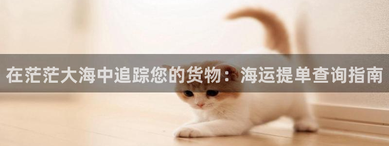 欢迎您来到公海客服