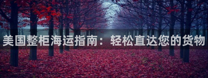 欢迎来到海牛星简谱