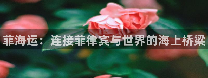 欢迎到我的船上来的英文