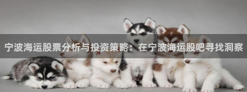 欢迎登船