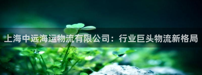 公海赌博怎么处理