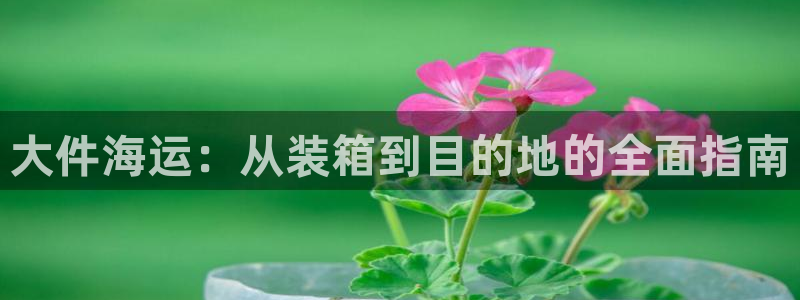 公海赌博是什么意思