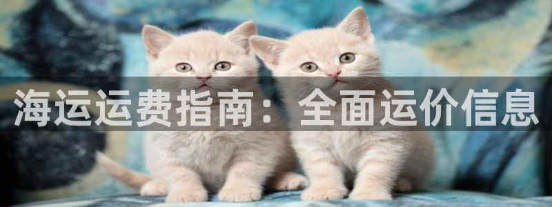 公海船赌网站是多少