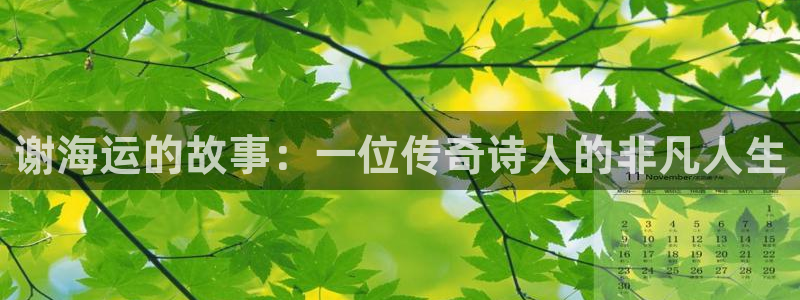 710公海赌赌船有总代理吗