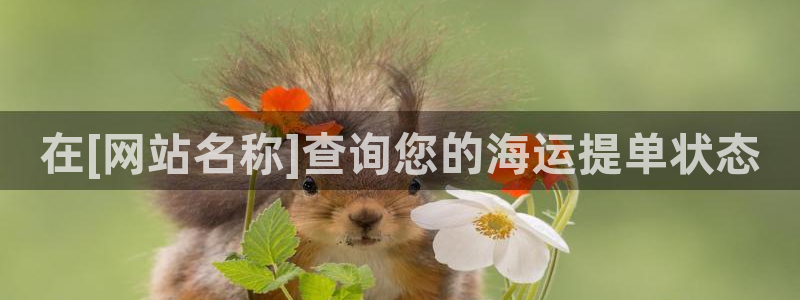 欢迎来到公海欢迎来到赌船