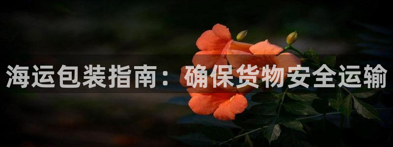 公海欢迎来到