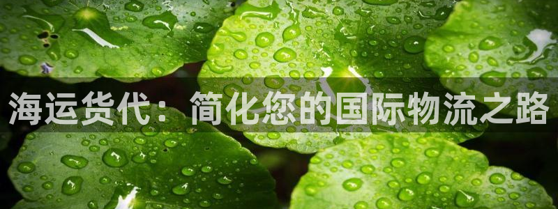在公海赌博不违法吗