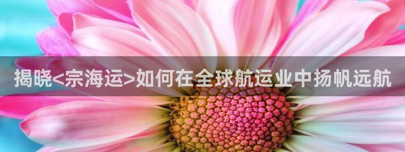 欢迎你来到公海欢迎你来到