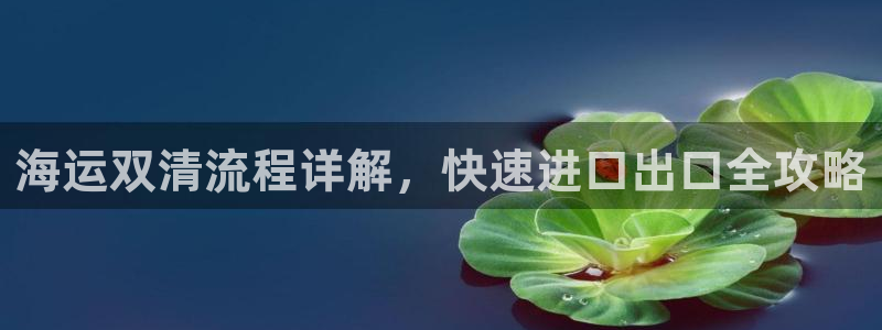 公海赌赌船维护多久