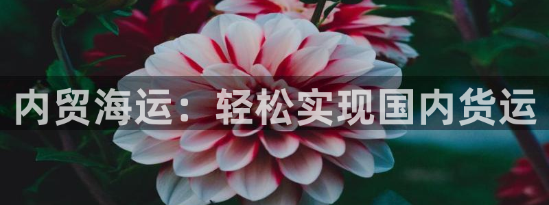 欢迎来到公海欢迎来到赌船!!