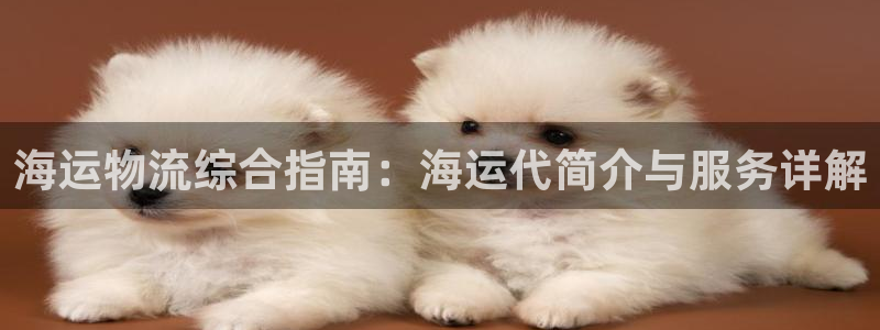 公海赌赌船官网
