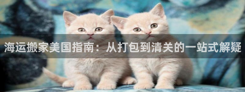 公海赌赌船官网图标