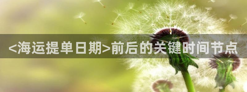 欢迎来到海牛星简谱