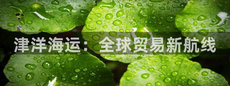 公海赌船网页