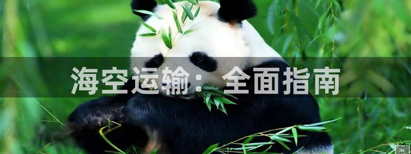 欢迎来到公海7108客服