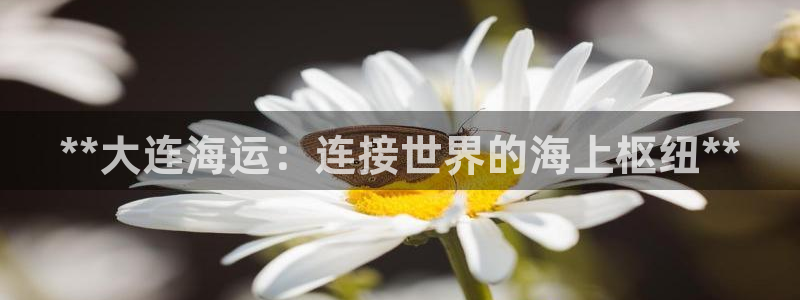 公海赌博犯法吗