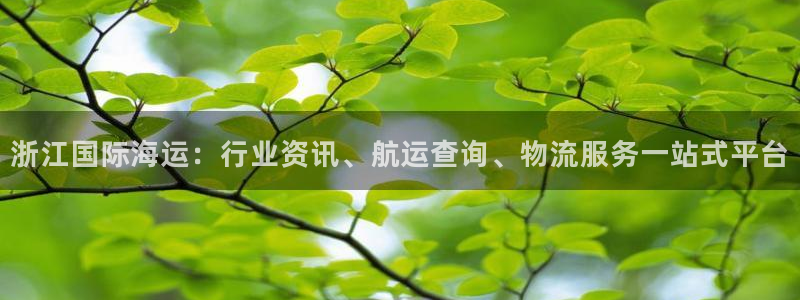 公海赌钱违法吗