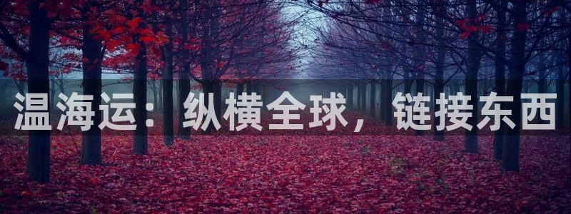 欢迎来到公海电脑版