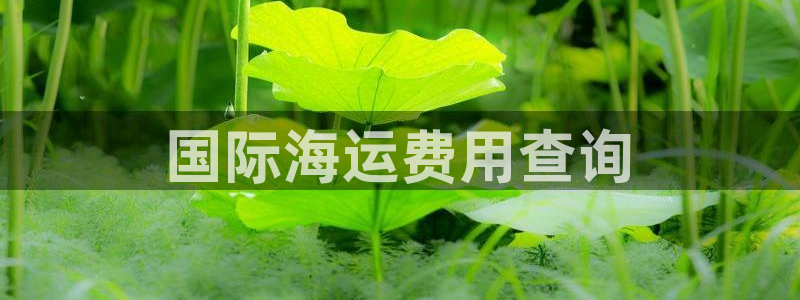 公海赌博犯法吗