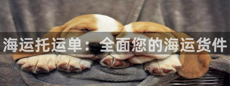 公海赌博怎么处理