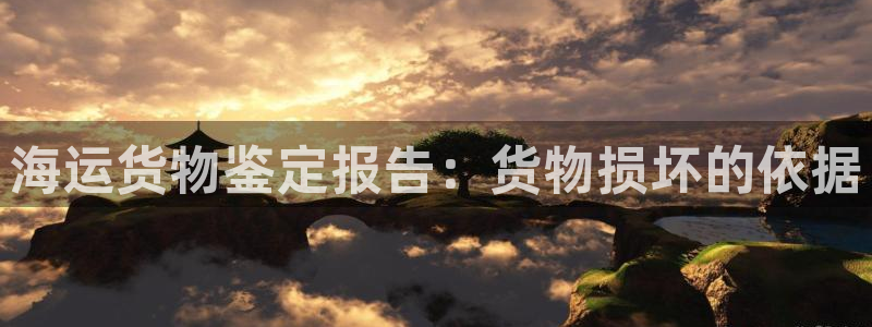 公海赌赌船官网