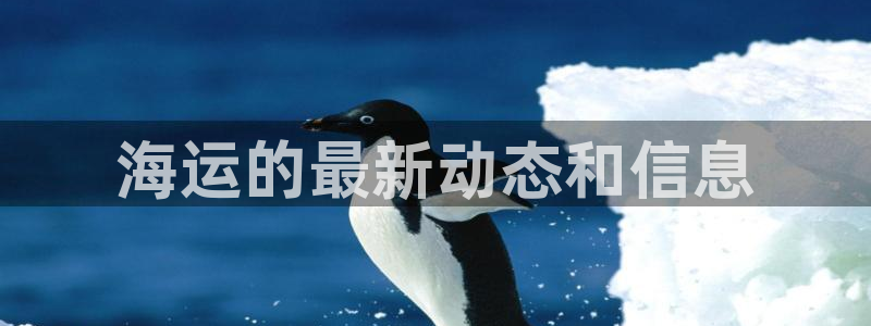 公海赌船怎么样