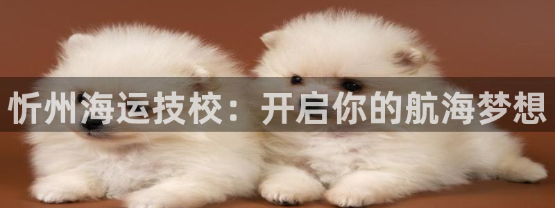 欢迎您来到公海客服