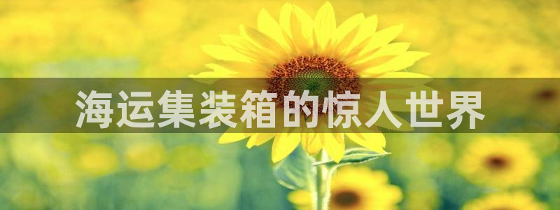 欢迎你来到公主的海岛